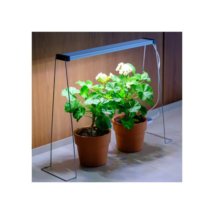 Twinstar spring wire 35cm set