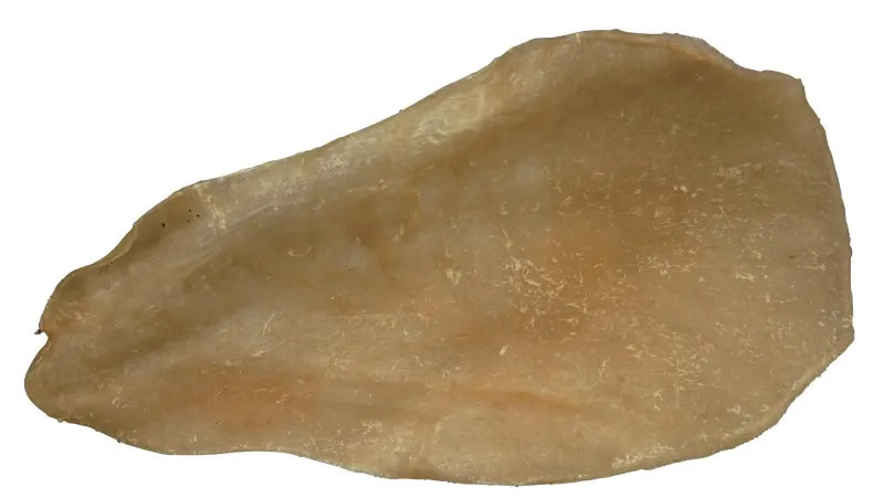Urechi de Vita Uscate 2726