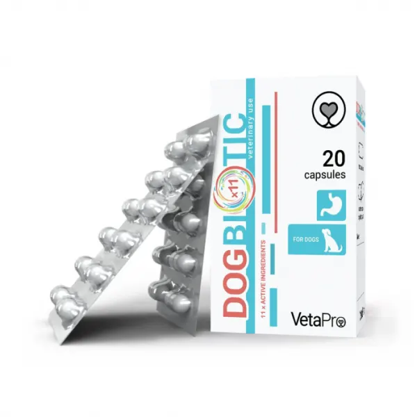 VETAPRO dogbiotic 20caps cut suport digestiv caini