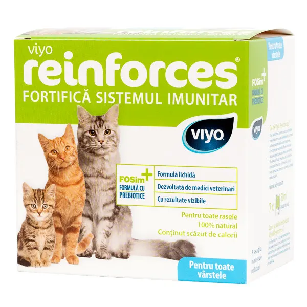 Viyo Reinforces Pisica
