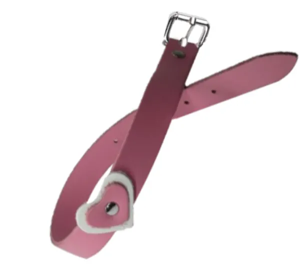 Zgarda Caine Streetside Inima 1.6/40 cm Roz Nr 1