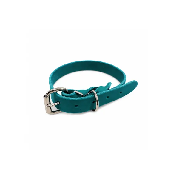 Zgarda din piele simplă - Turcoaz - 30 cm