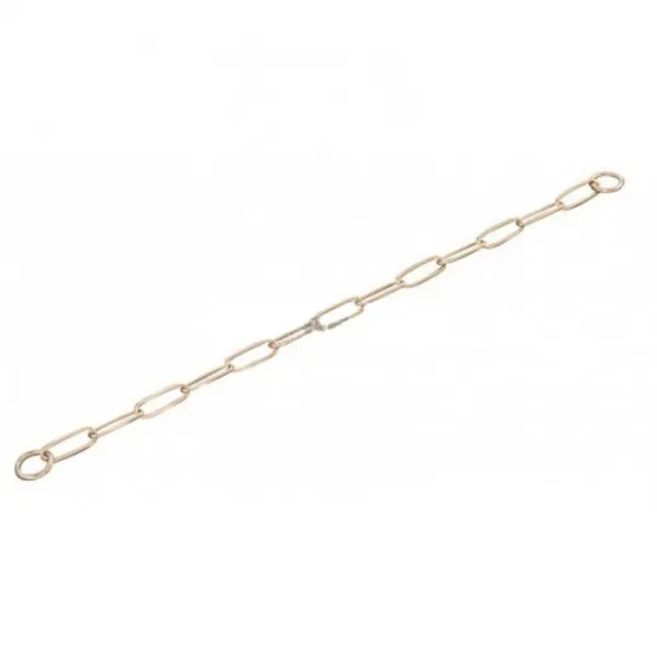 Zgarda lant Curogan 3mm/46cm
