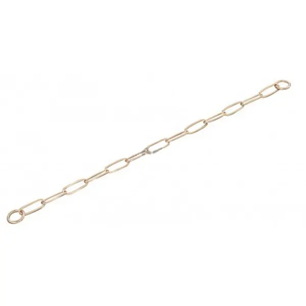 Zgarda lant Curogan 3mm/57cm